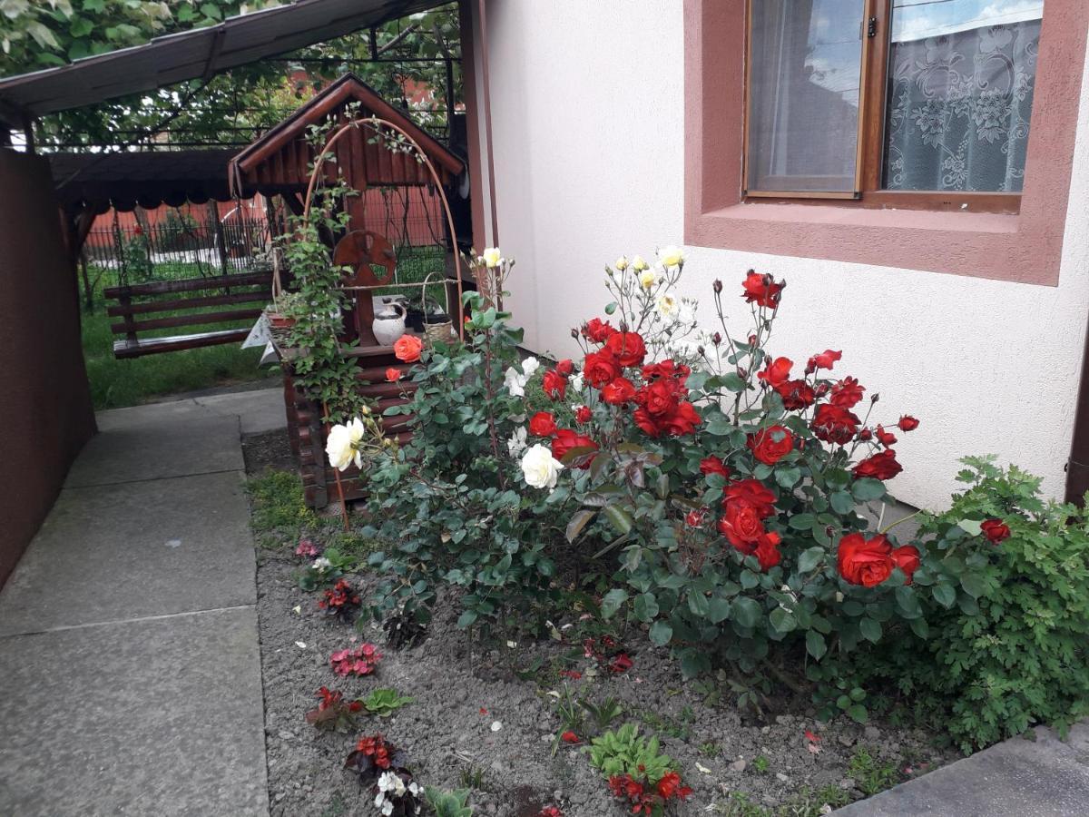 Pensiunea Ileana Novaci-Străini Zewnętrze zdjęcie