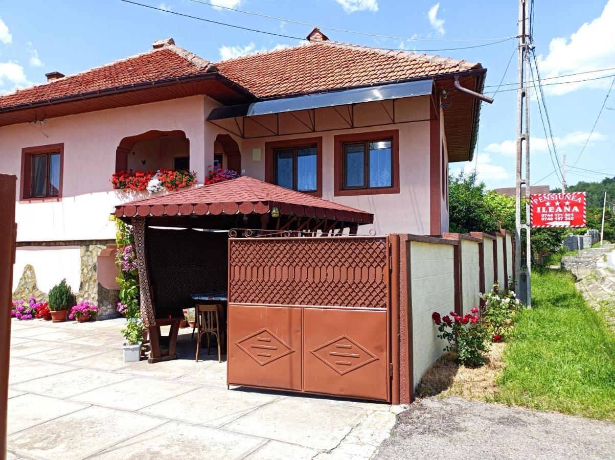 Pensiunea Ileana Novaci-Străini Zewnętrze zdjęcie