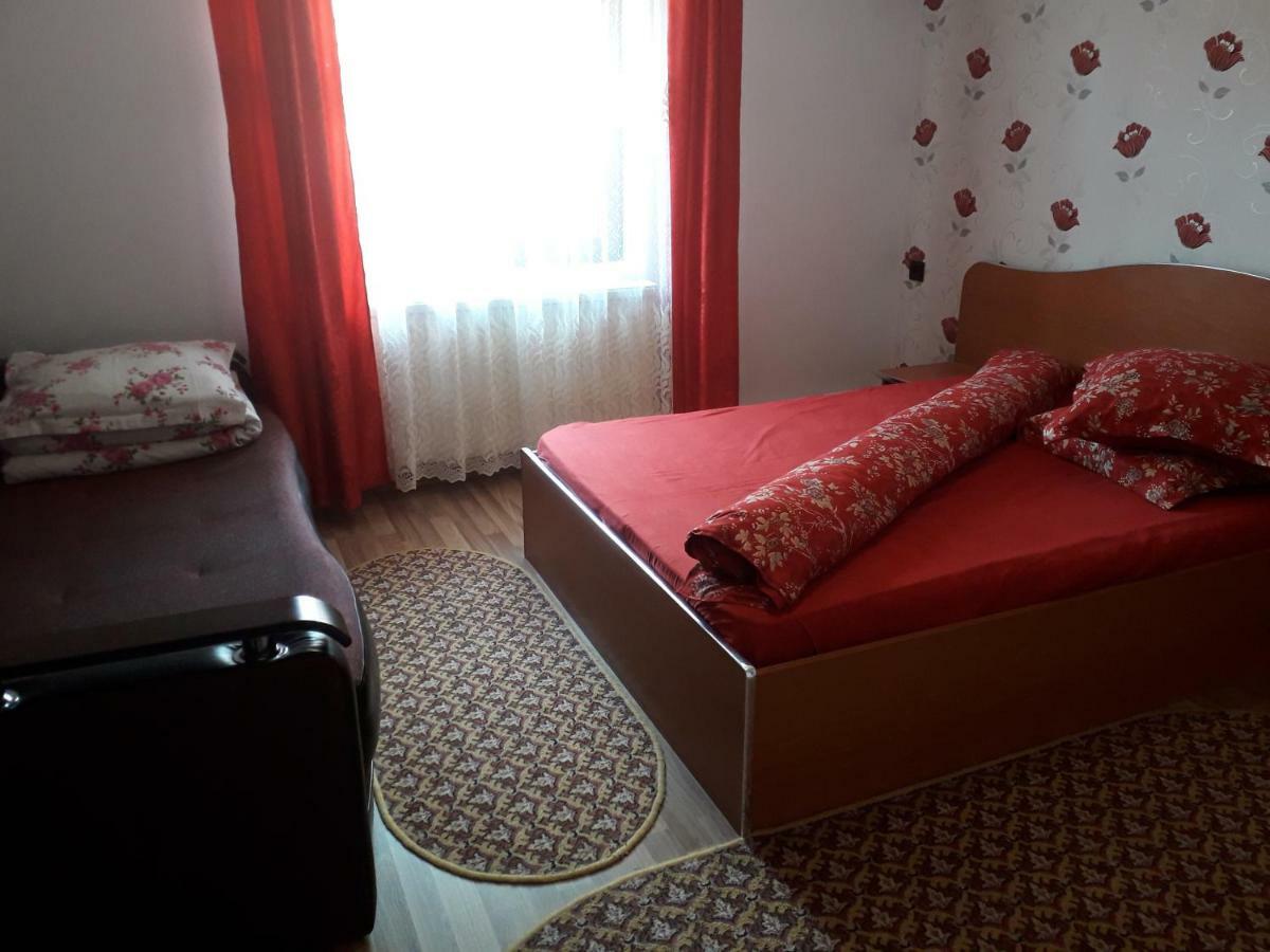 Pensiunea Ileana Novaci-Străini Zewnętrze zdjęcie