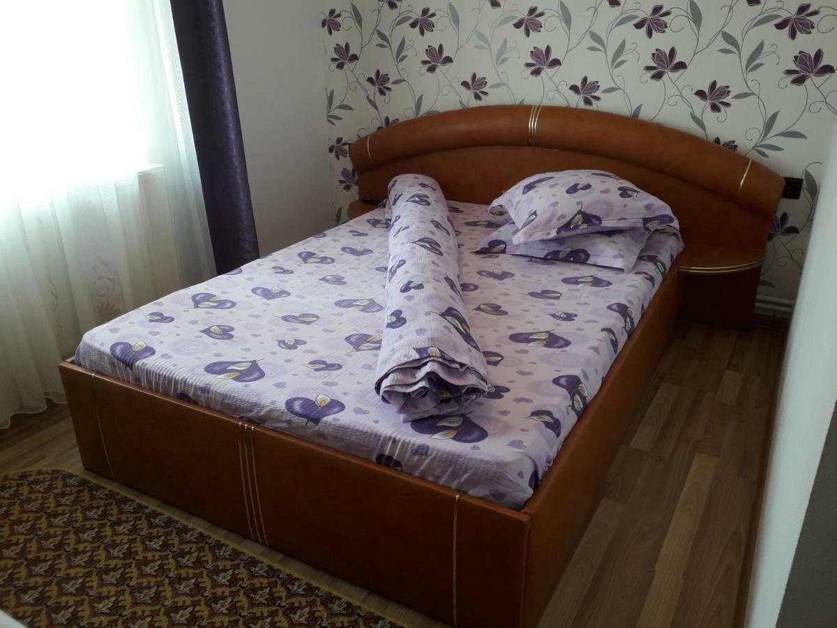 Pensiunea Ileana Novaci-Străini Zewnętrze zdjęcie
