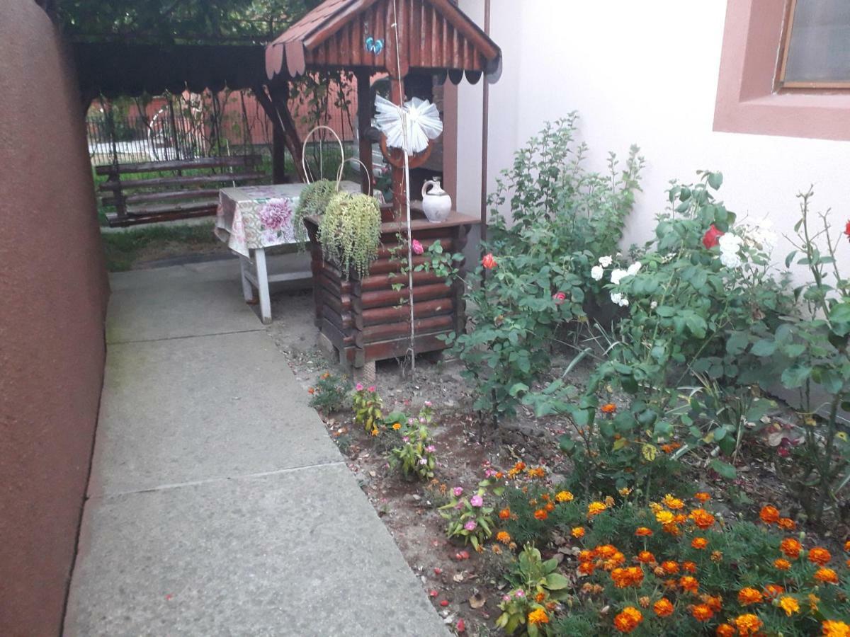 Pensiunea Ileana Novaci-Străini Zewnętrze zdjęcie